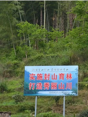 湖南:今冬明春计划人工造林150万亩