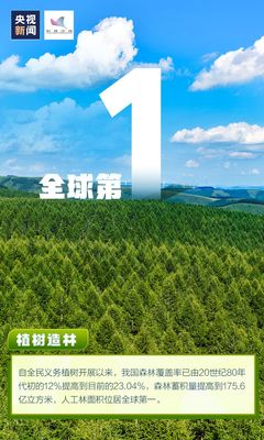 世界地球日| 植树造林全球第一 数据里来看中国贡献
